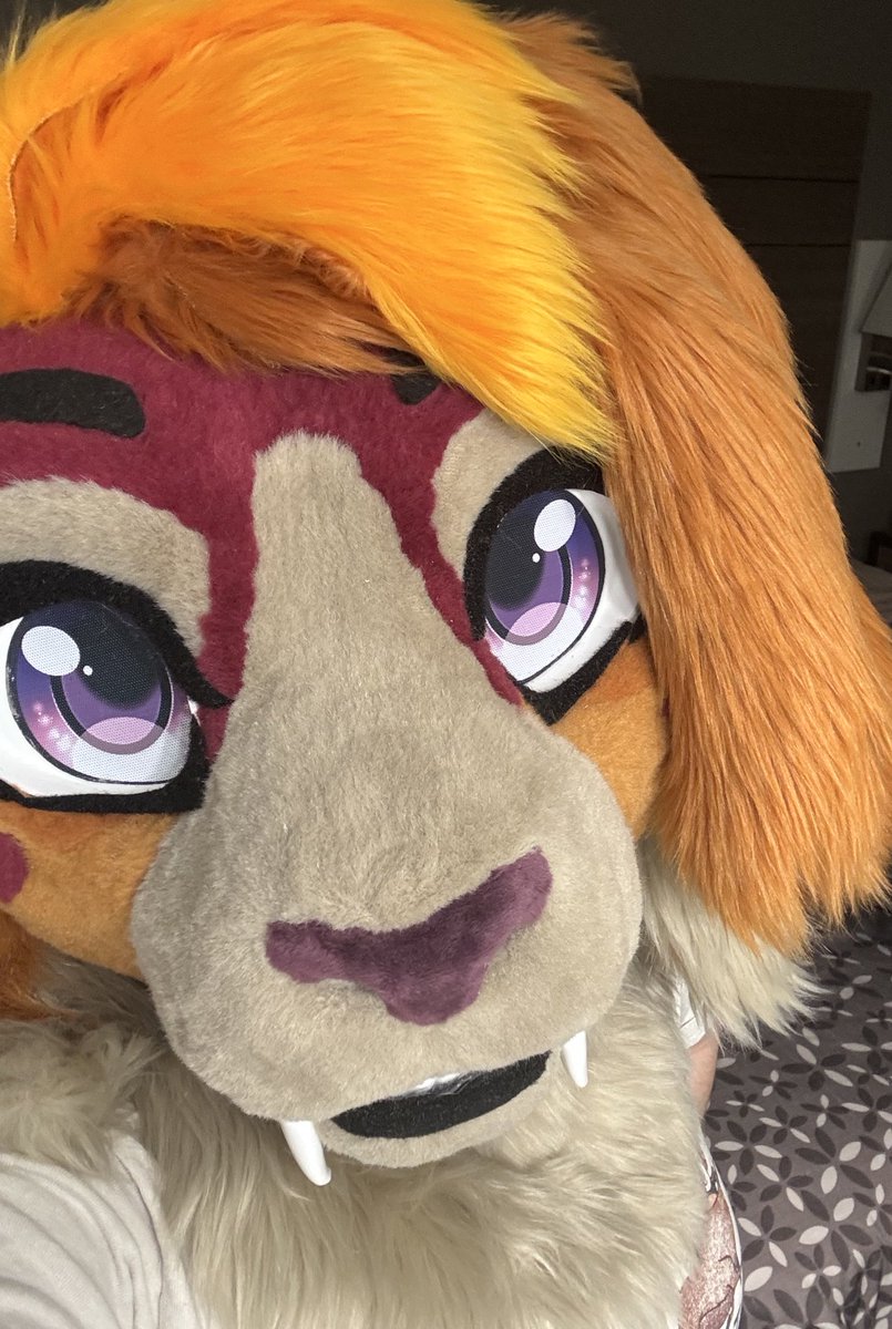 Nira🌸🔜 tweet media