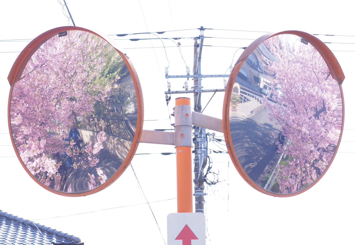 り𓂃❁⃘𓈒𓏸 tweet media