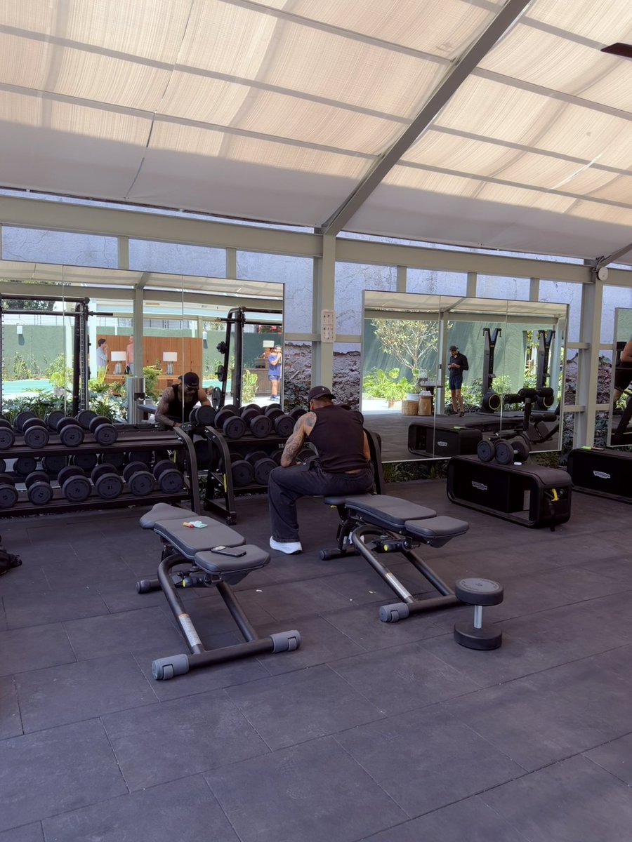 👑Alexander tweet media