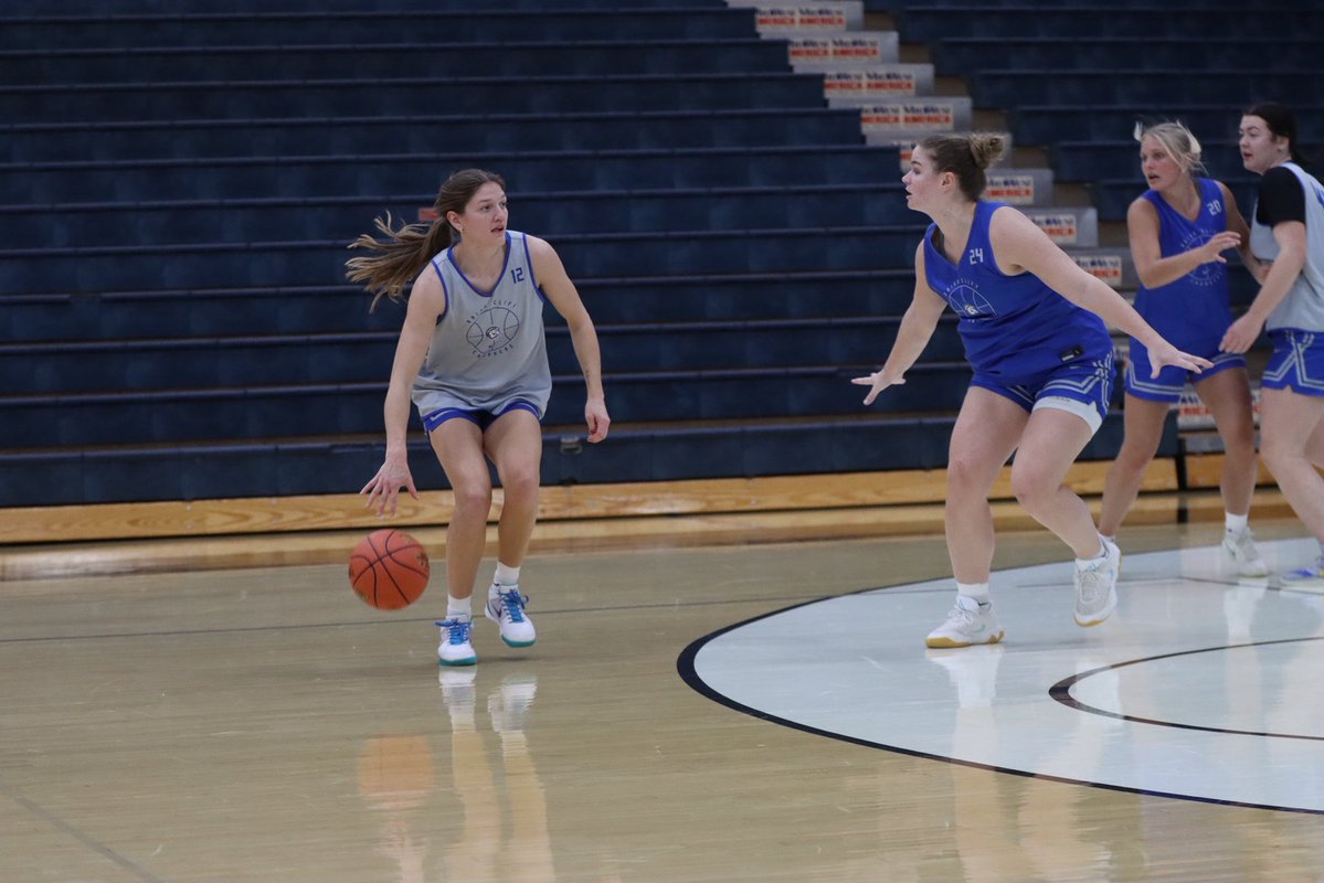 Briar Cliff WBB tweet media