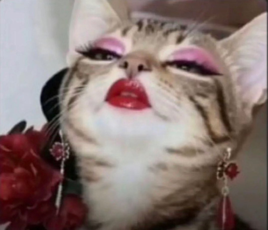 Terrence tweet media