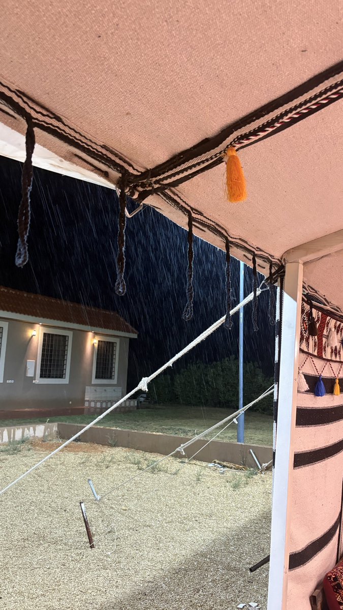 ‏قشعان tweet media