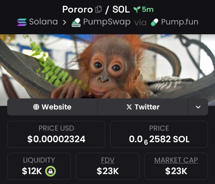 coinally1's tweet photo. My fans are holding $PORORO at $23K๐ธ Market cap
๐
Only on my Private ๐ฉ TG
Contract Address:
6MFsT18HtdShAvLcWH4rJzXiz4MpF14V2z89Bv4ipump
#SOL
#SOLANA
#PORORO
#MEMECOIN
#PUMPSWAP https://t.co/50PYrXillK