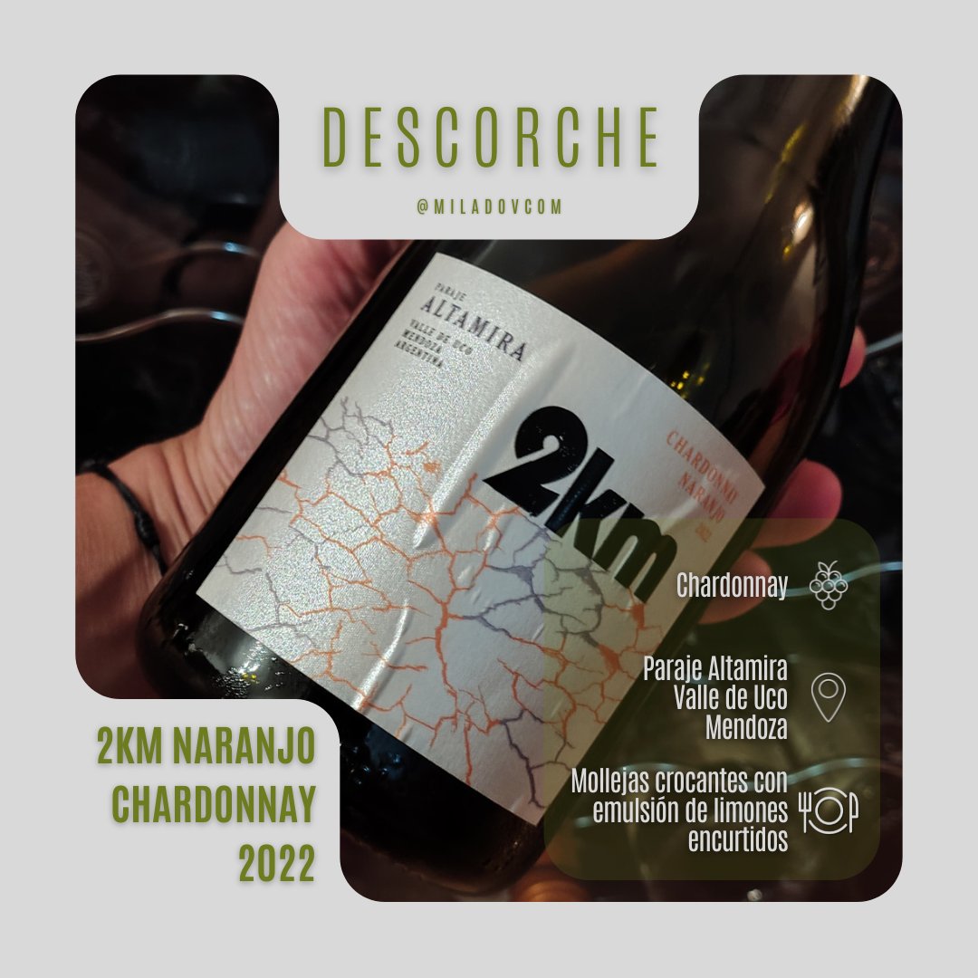 Diego Migliaro tweet media