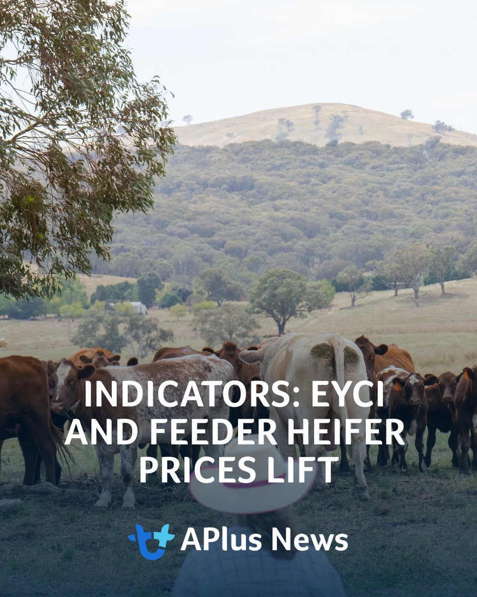 AuctionsPlus tweet media