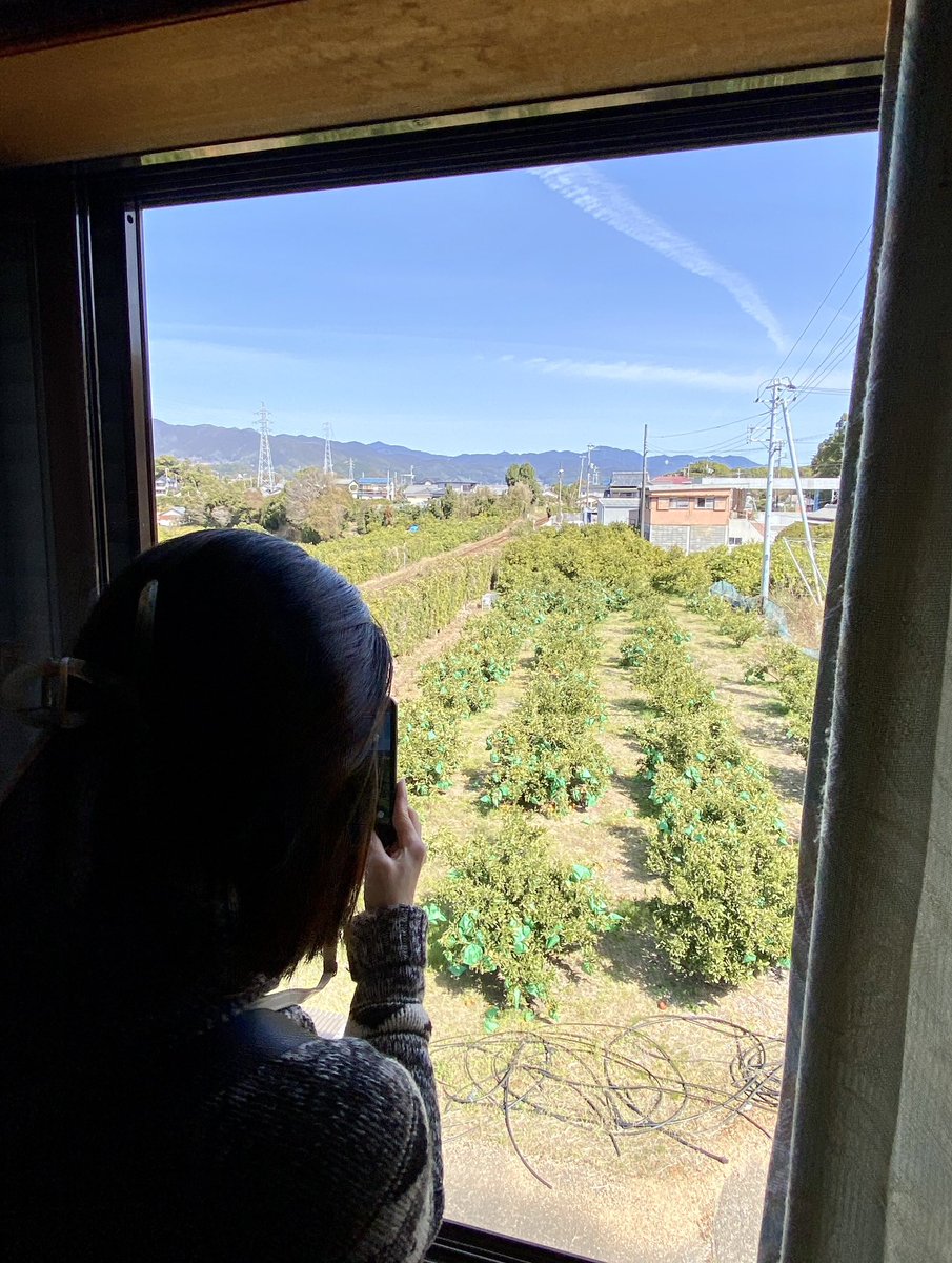 𝐒𝐡𝐞𝐩𝐡𝐞𝐫𝐝 𝐨𝐟 𝐒𝐡𝐢𝐛𝐚𝐬 🦊🦊 tweet media