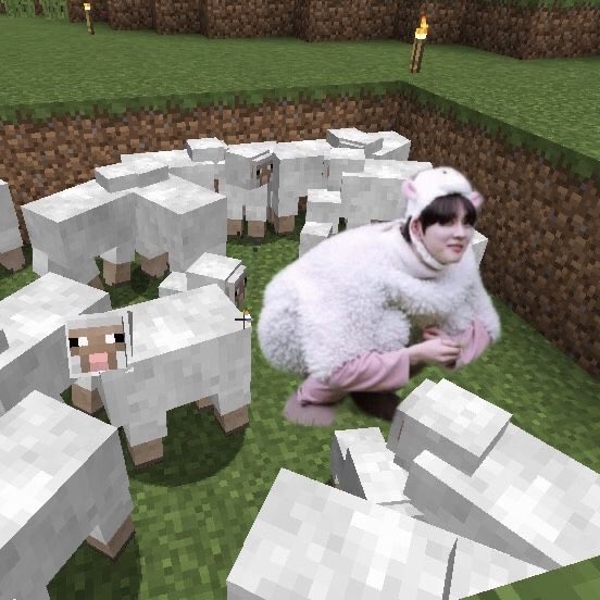 Mura. ✦ | ENHYPEN IS 7 ! tweet media