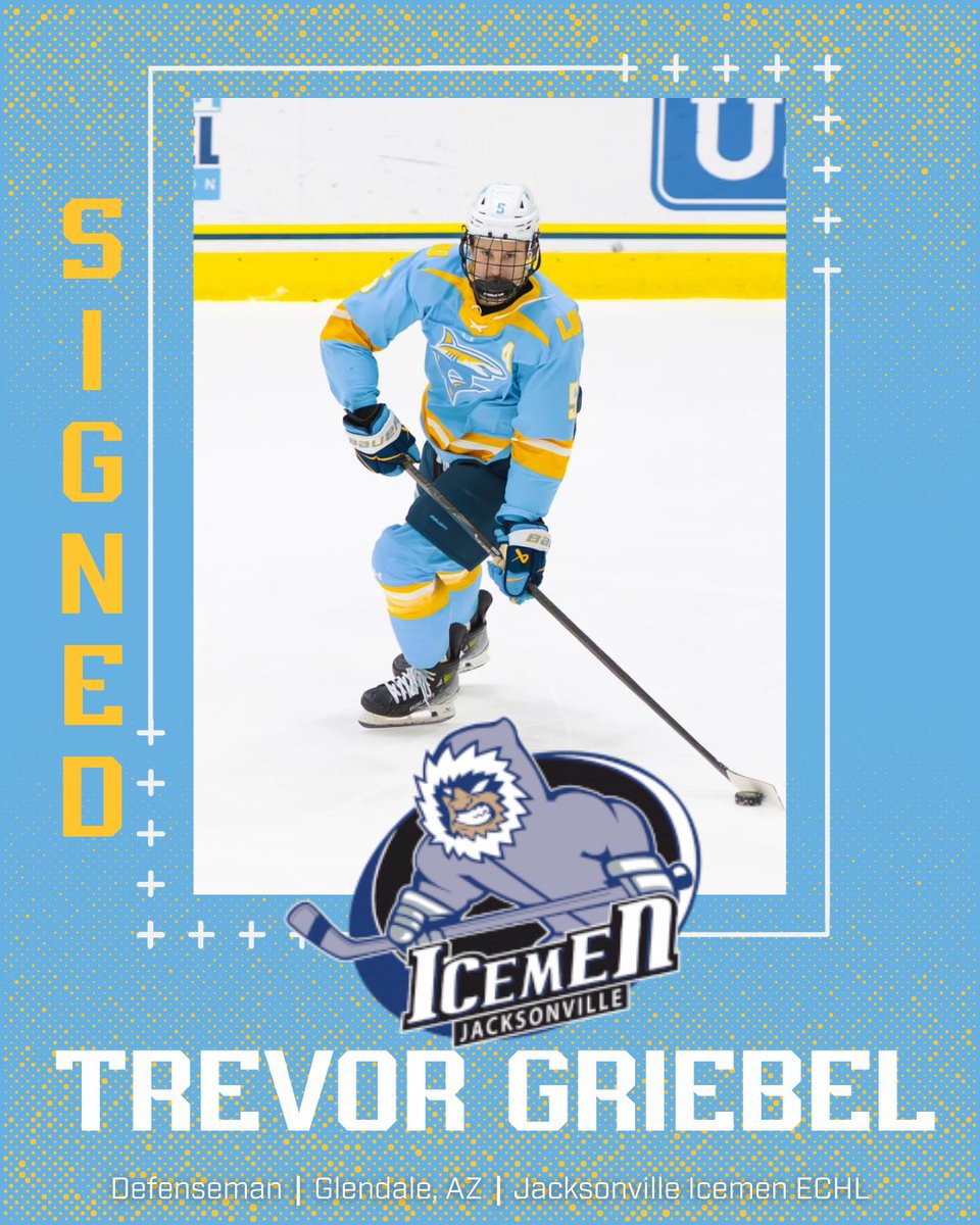 LIU Men’s Ice Hockey tweet media