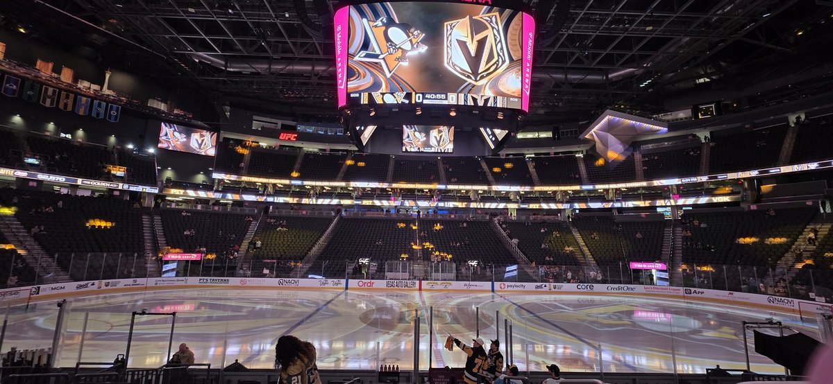 The Ari formerly known as 'D' tweet media