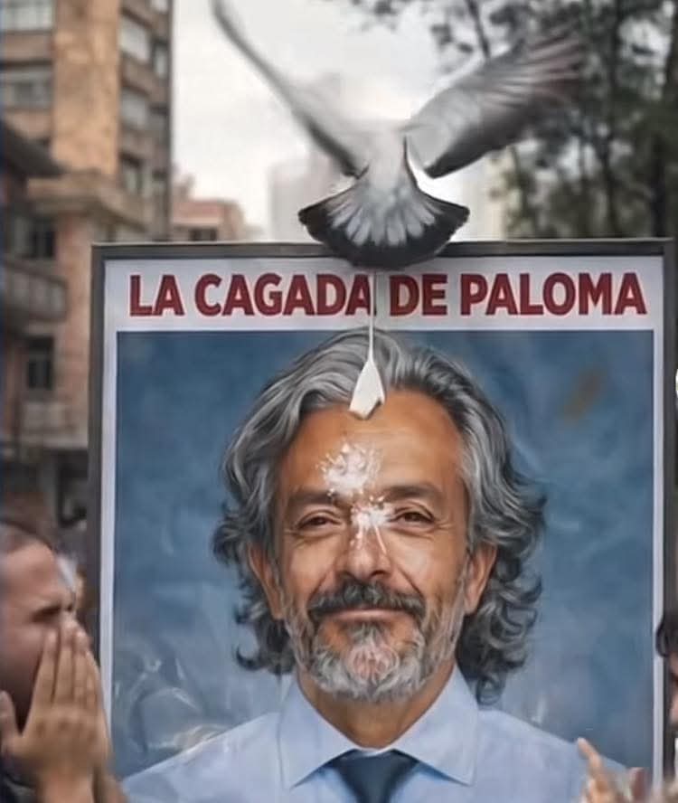 Tremenda Cagáda de Paloma❗
#JuanDanielOviedoLaCagádaDePaloma