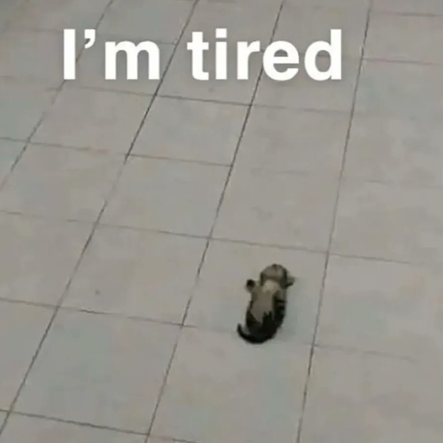 ✩ ₊˚Taiyo✩ ₊˚ tweet media