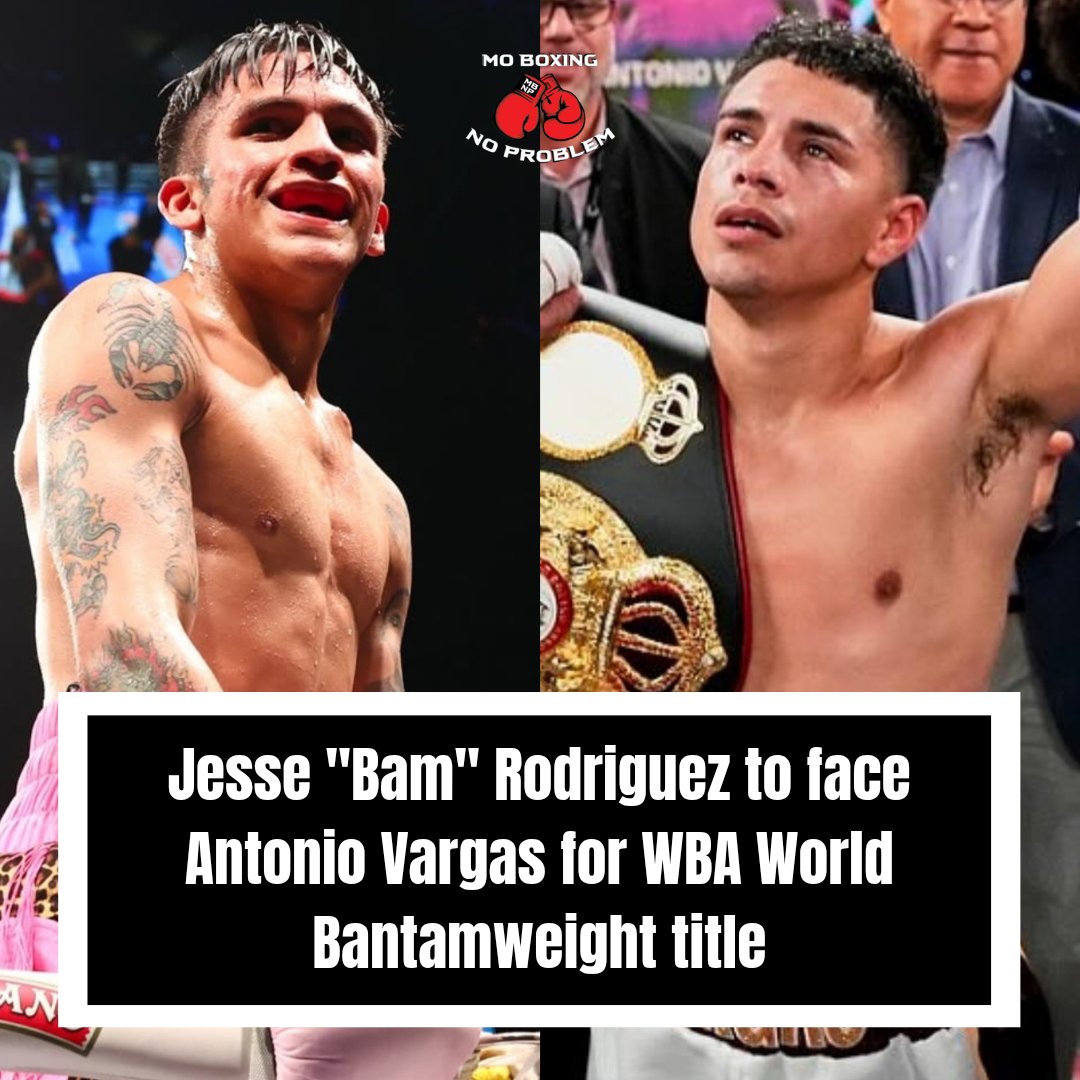 Mo Boxing No Problem tweet media