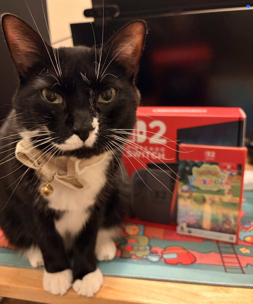 xaphe 🐯🪷 tweet media