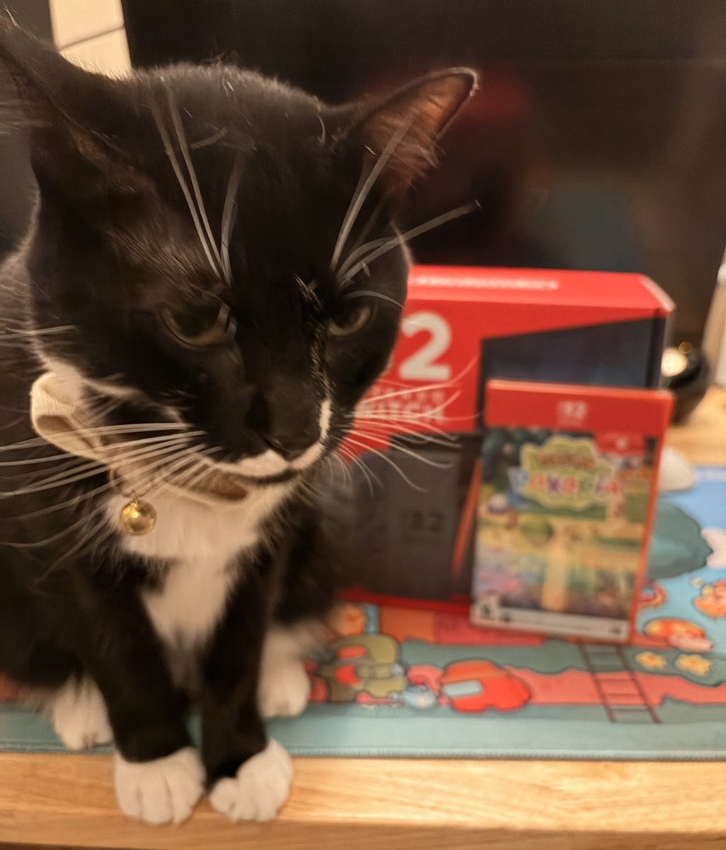 xaphe 🐯🪷 tweet media