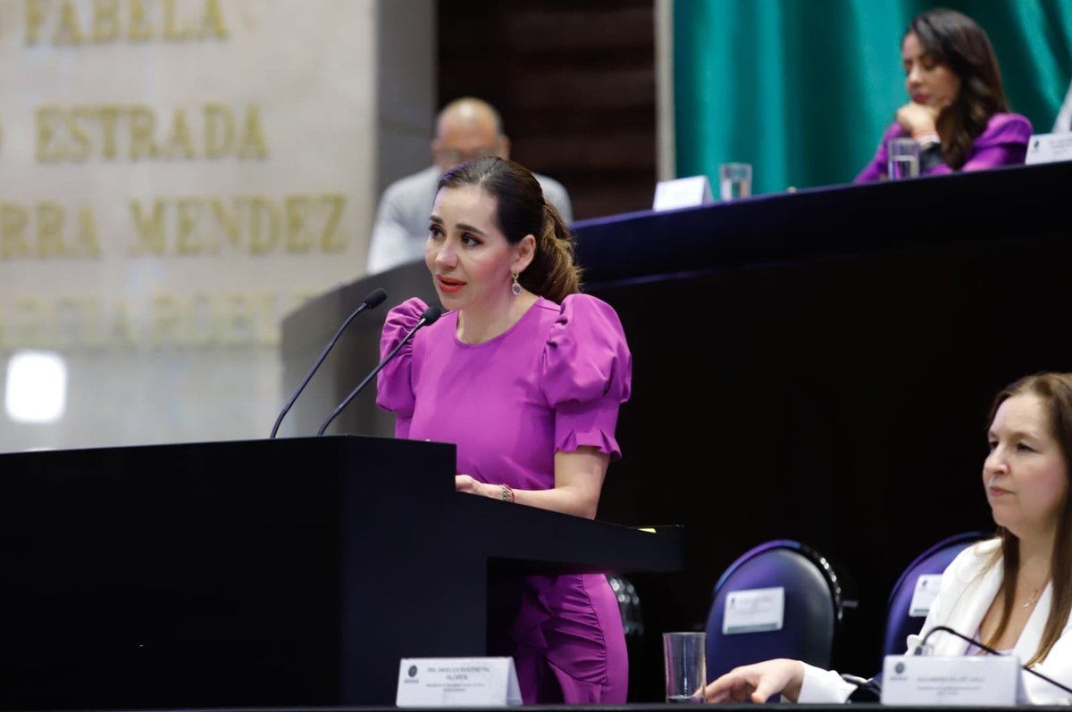 Guadalupe Díaz Carranza tweet media