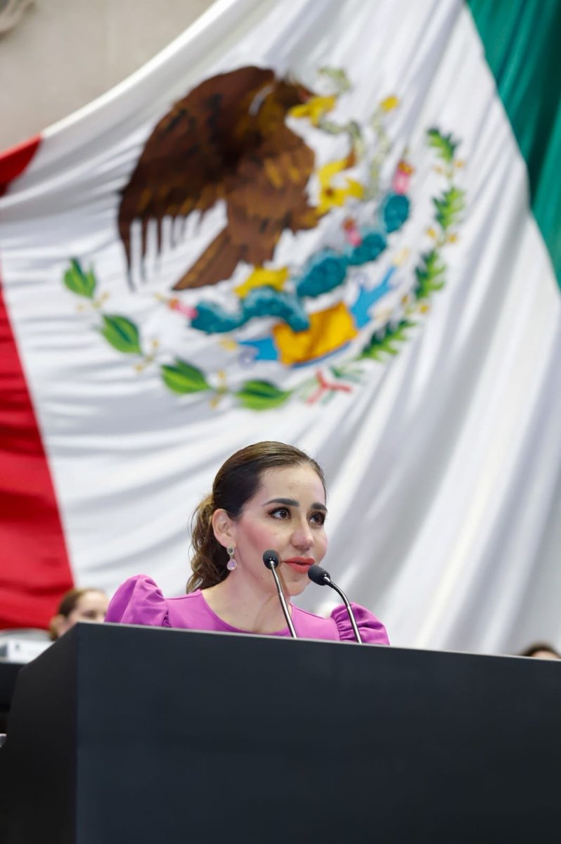 Guadalupe Díaz Carranza tweet media