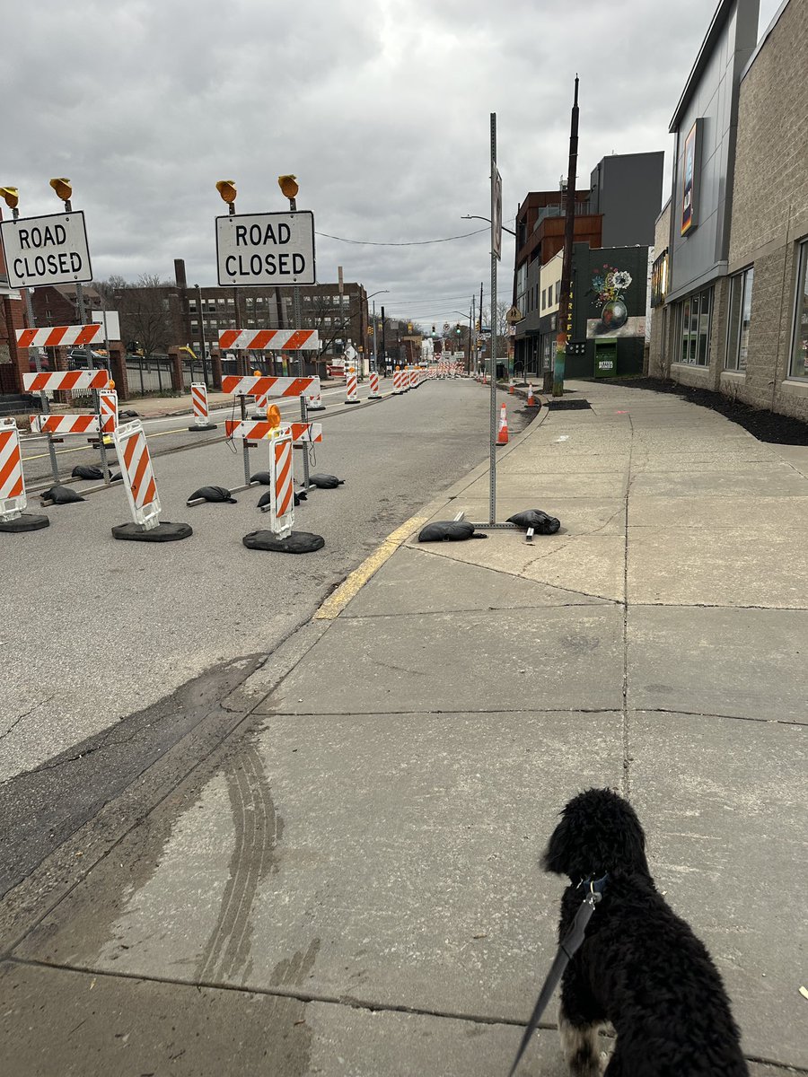 Tim Gyves tweet media