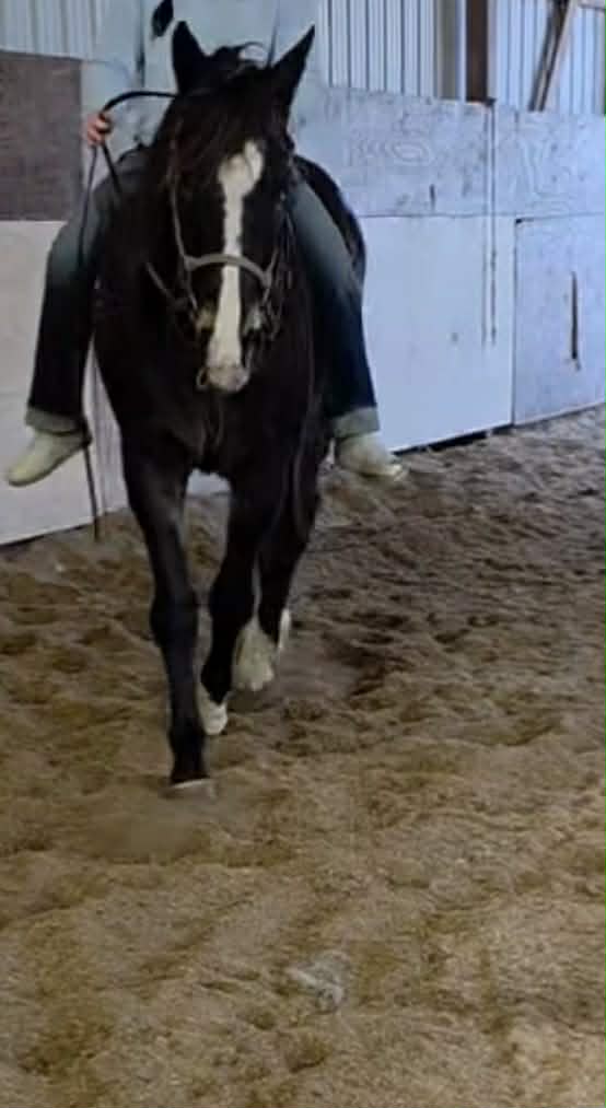 R.A.C.E. Fund, Inc. tweet media