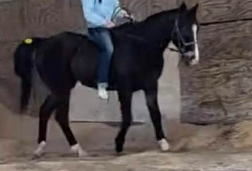 R.A.C.E. Fund, Inc. tweet media