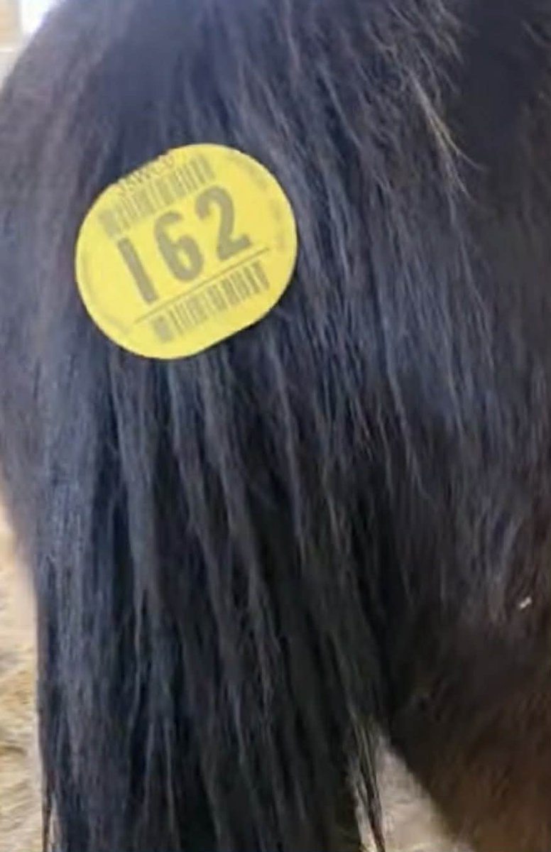 R.A.C.E. Fund, Inc. tweet media