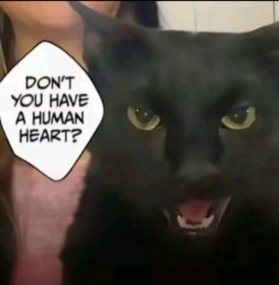 🟦/✫𝚂𝚊𝚖✫ /💙 tweet media