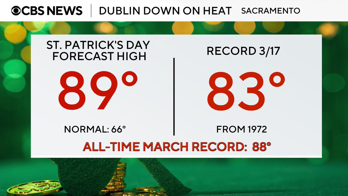 Nic Merianos tweet media