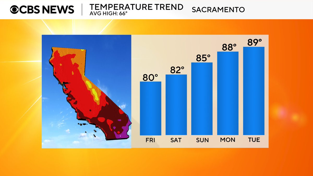 Nic Merianos tweet media