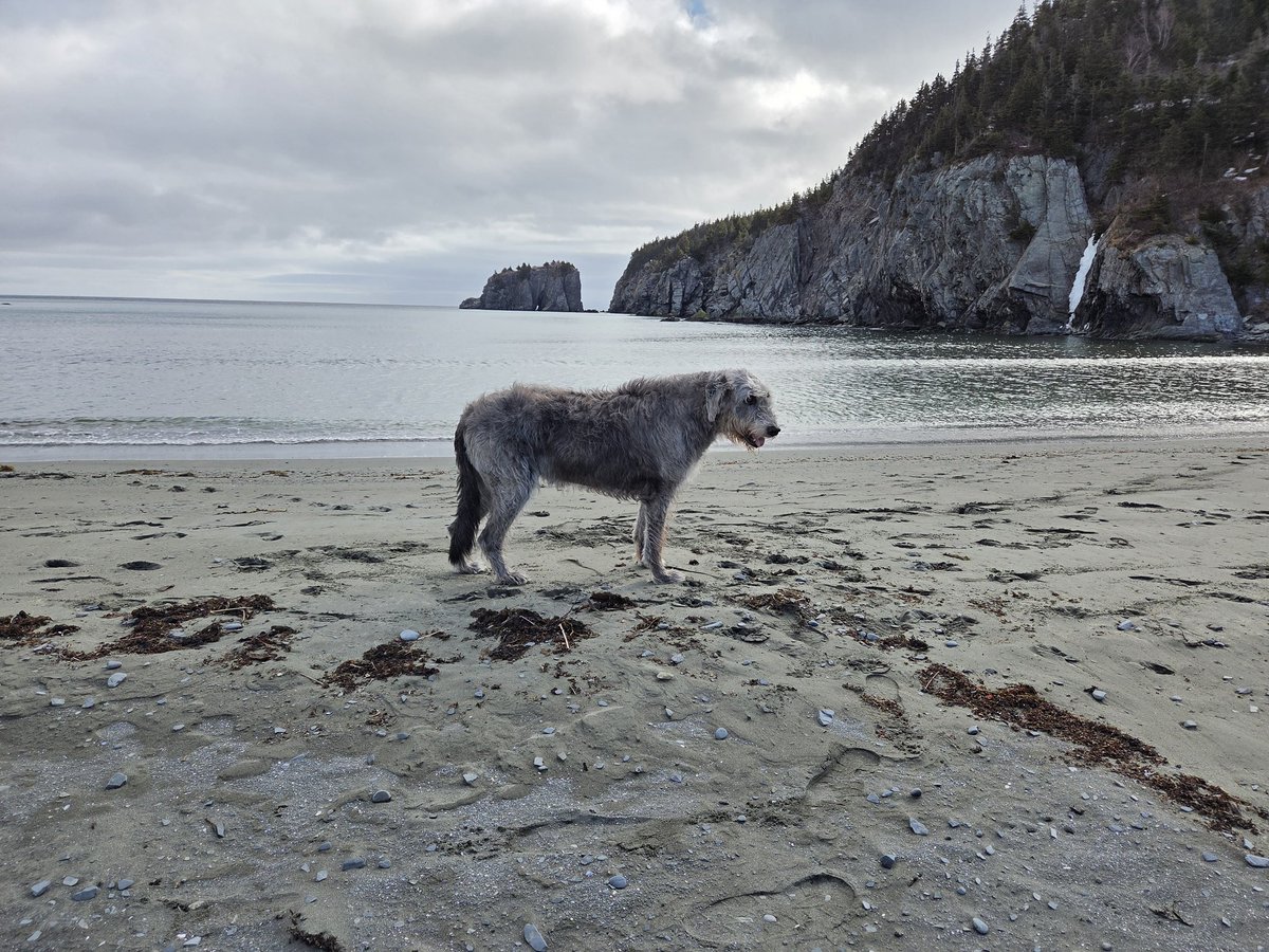 Jim Case tweet media