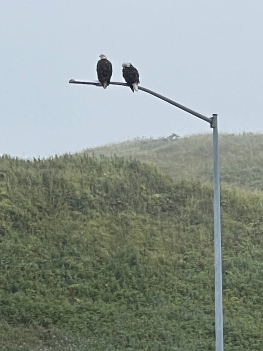 Stephen Orr tweet media