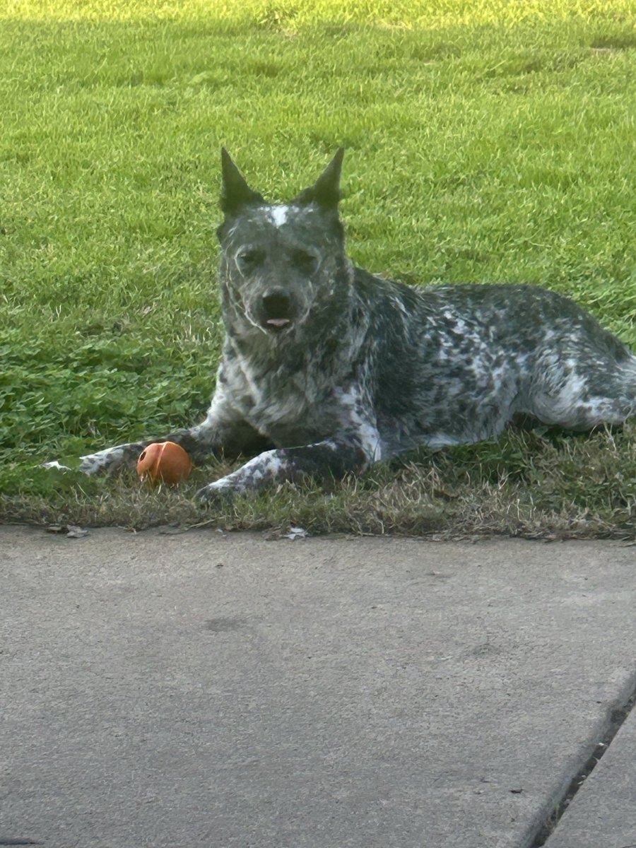 Tim Hendrickson tweet media