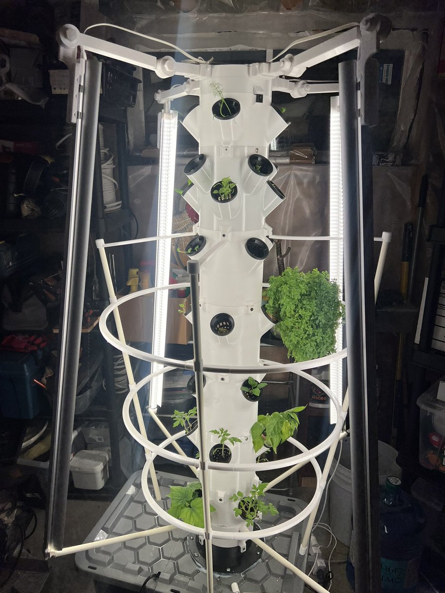 Victoria❣️ Life of V tweet media