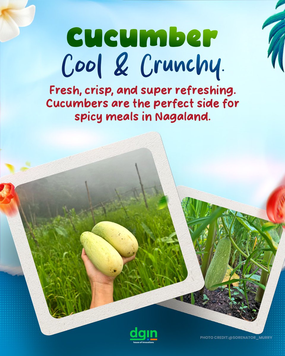 Temjen Imna Along tweet media