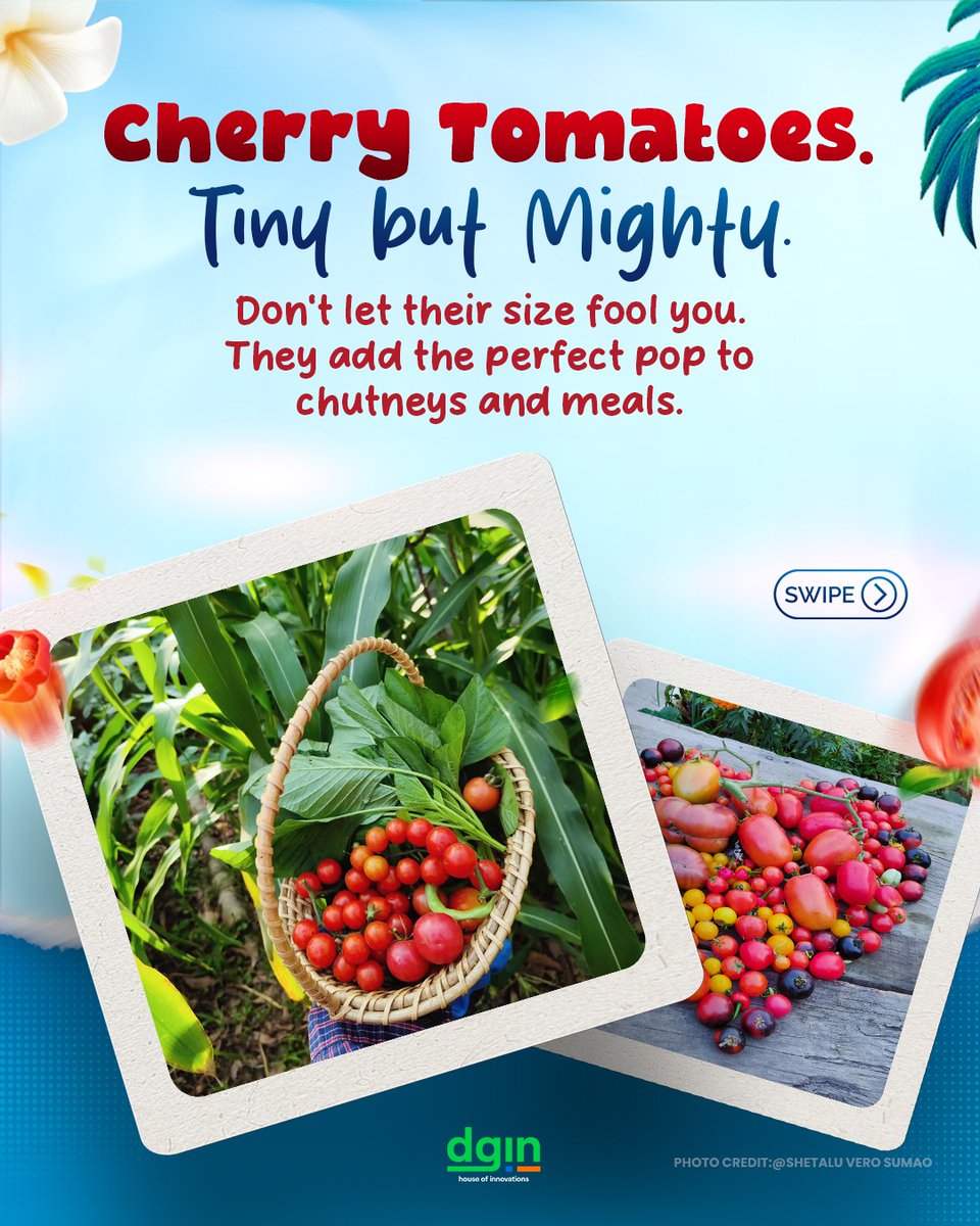 Temjen Imna Along tweet media