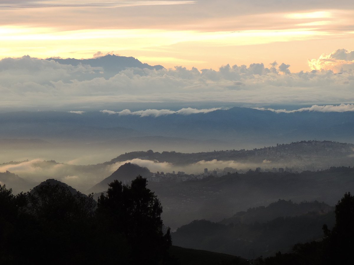 Samuel Andrés Agudelo 🎮 tweet media