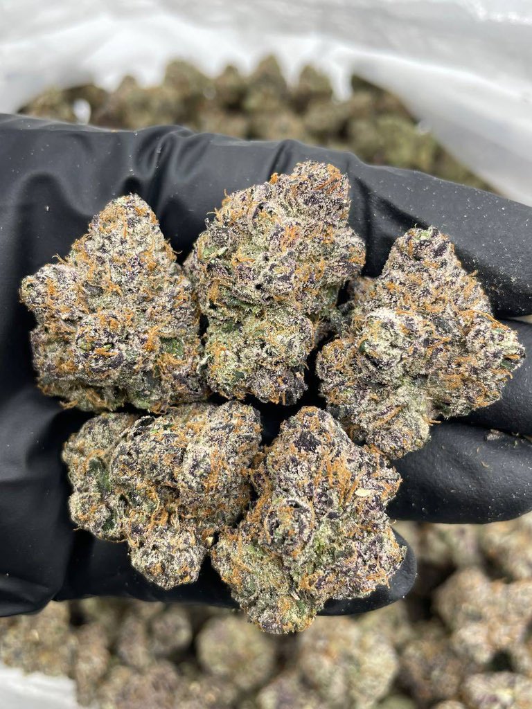 Lilpop114893's tweet image. Three different flavors in hml #atlplug #atlantaplug #gasin #atlga #atlantags #atlanta