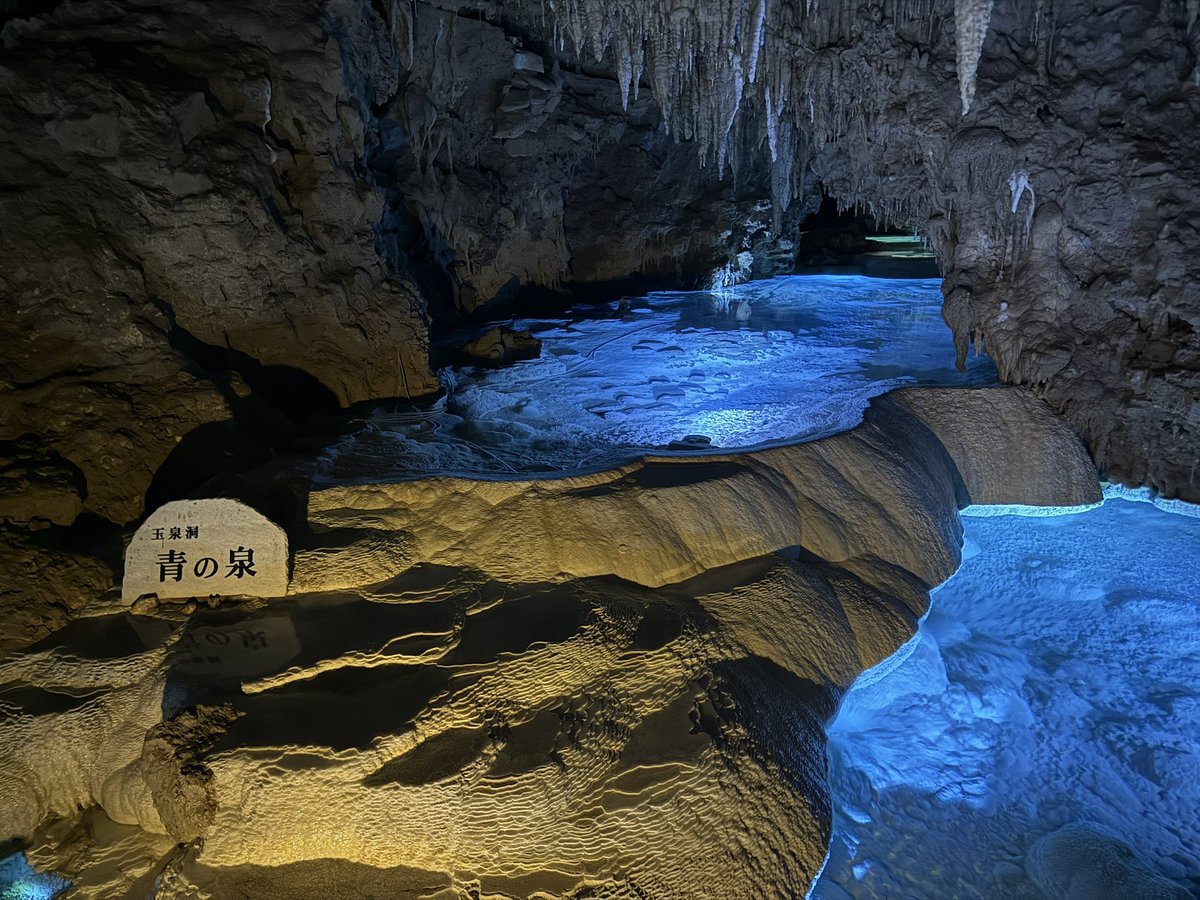 おじゅじゅ tweet media