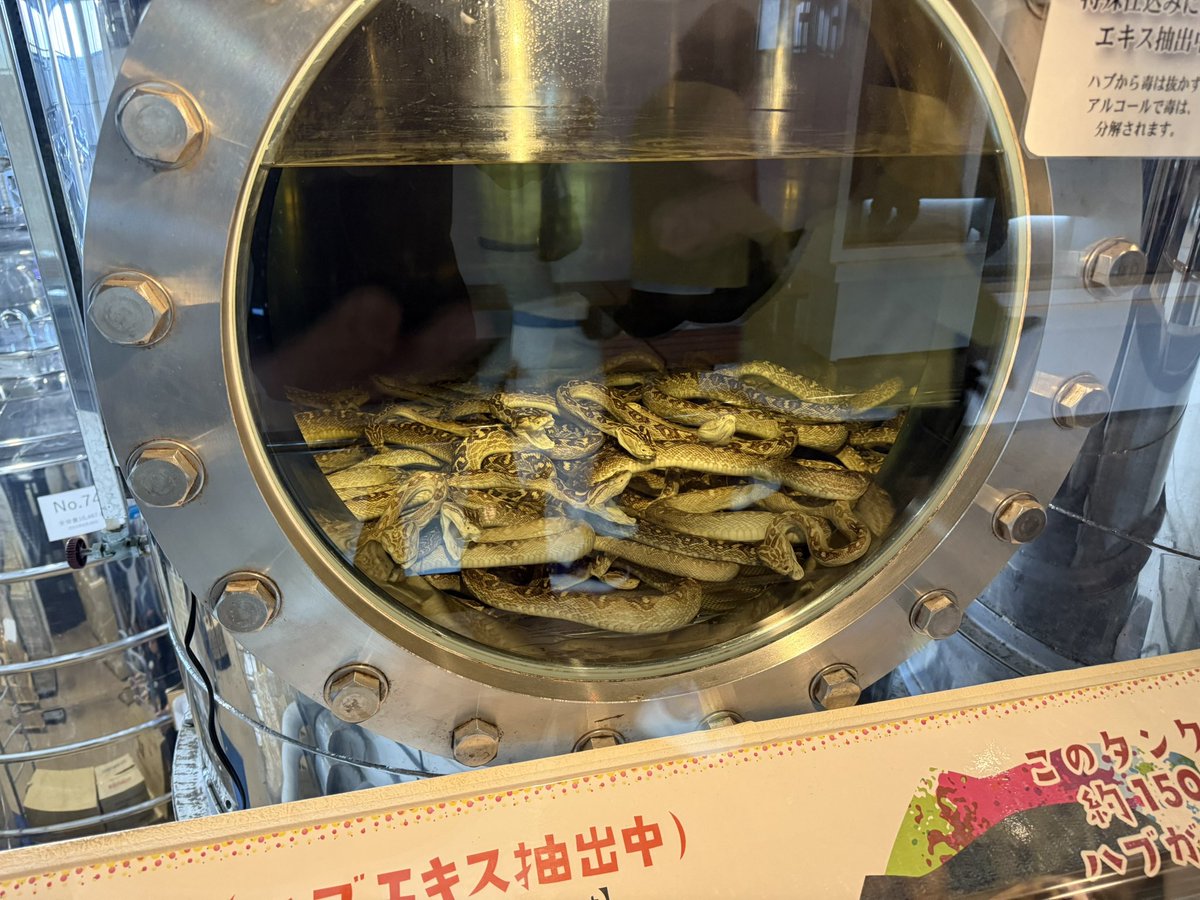 おじゅじゅ tweet media