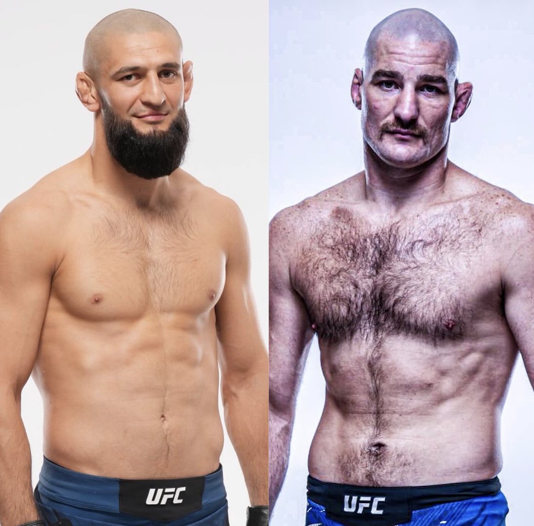 Pelunaton tweet media