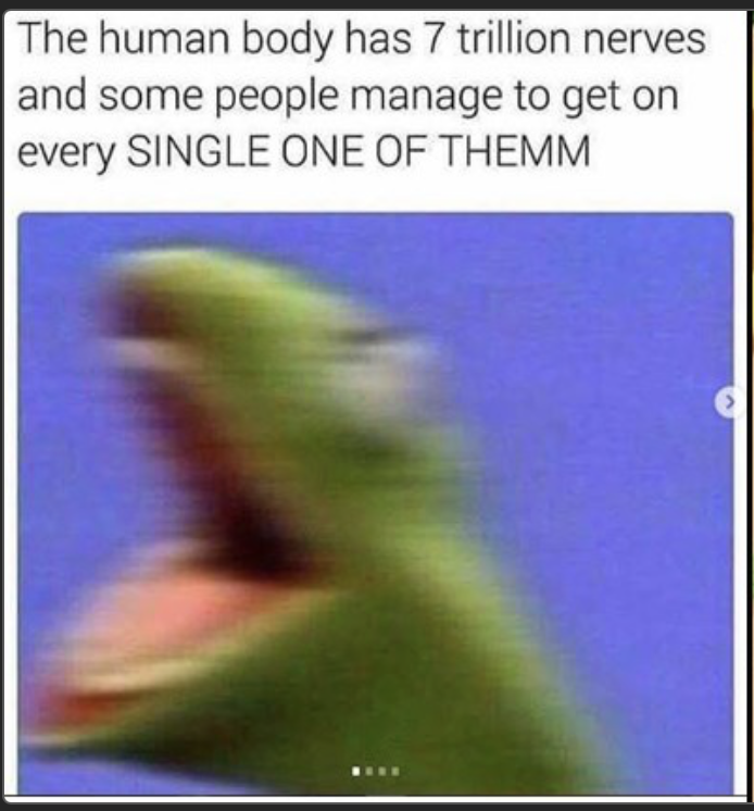 Mason Hawk Writer tweet media