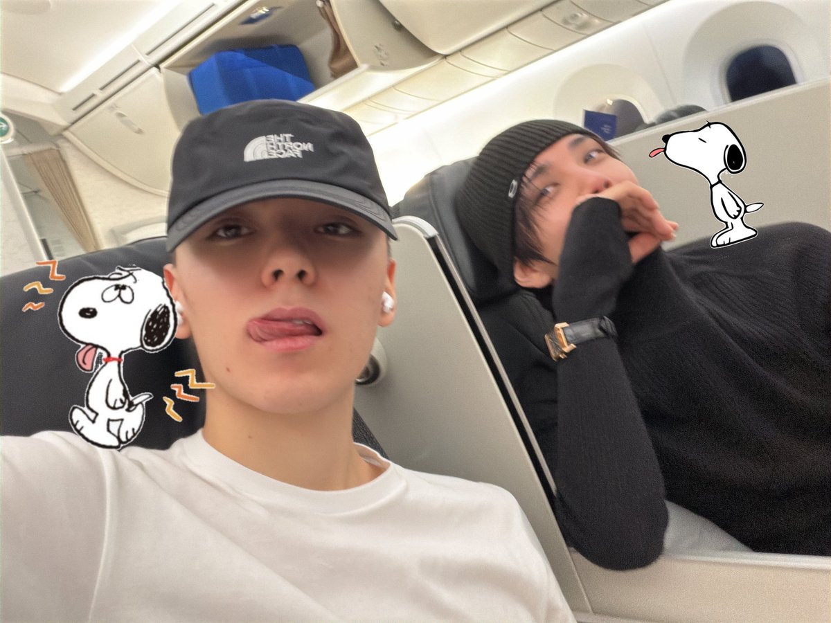 🐻‍❄️ tweet media