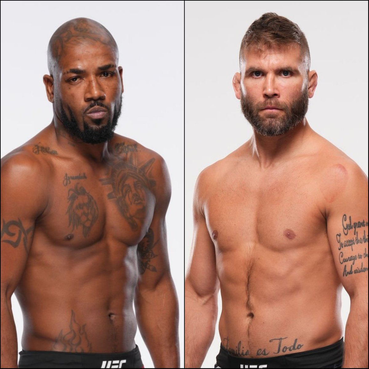 Marcel Dorff 🇳🇱🇮🇩 tweet media