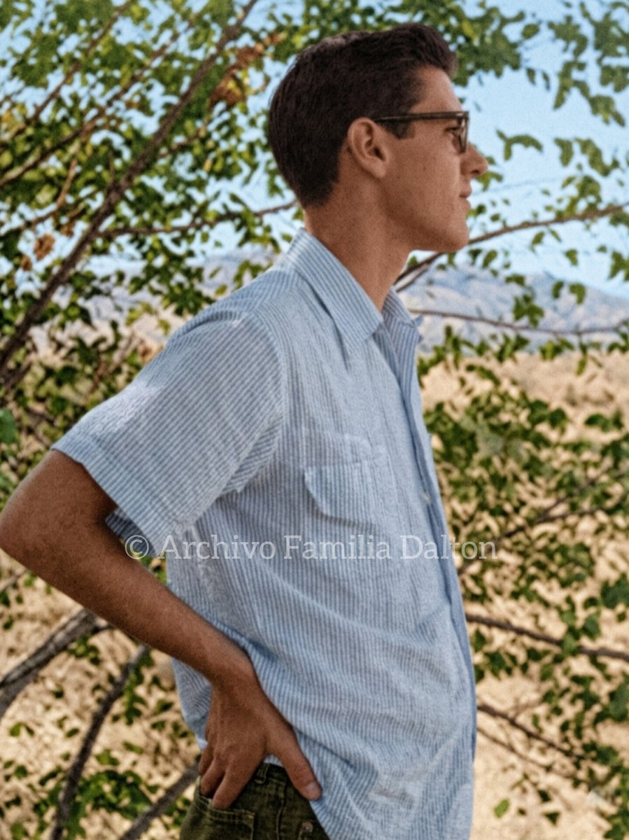 Creo que el mundo es bello,
que la poesía es como el pan,
de todos.

Y que mis venas no terminan en mí
sino en la sangre unánime
de los que luchan por la vida,
el amor,
las cosas,
el paisaje y el pan,
la poesía de todos.

- Roque Dalton