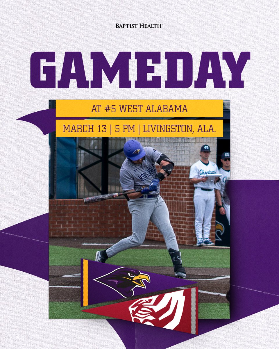 Montevallo Baseball tweet media