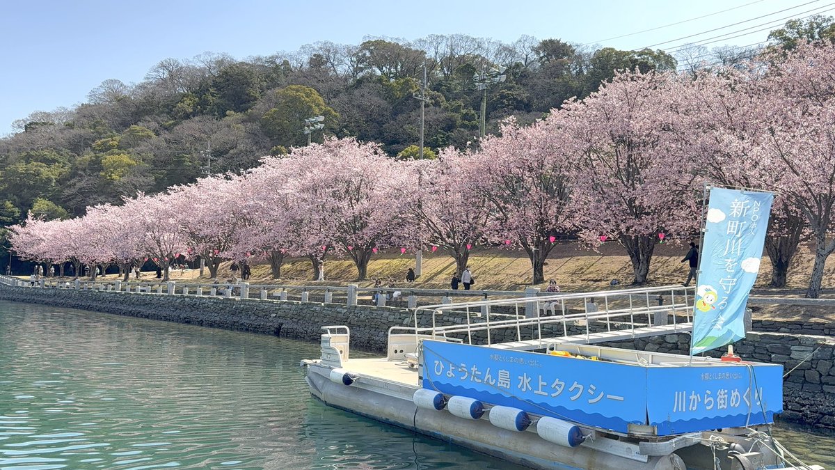 LokiH2's tweet photo. 旅行先で蜂須賀桜がちょうど満開だったので、お花見と推し活

バイパーのアクスタは反射の調整がムリ笑
#メガニケ
#NIKKE
#勝利の女神NIKKE https://t.co/DTUnn5M5al