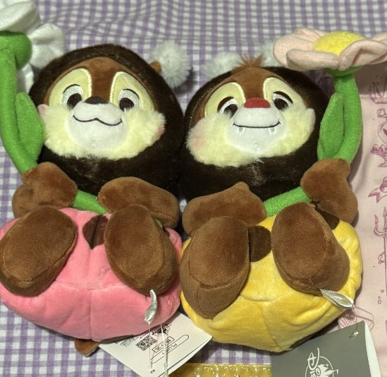 ルーちゃん🦘byちわわくん tweet media