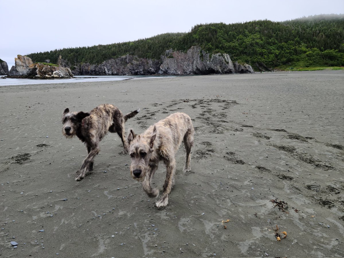 Jim Case tweet media