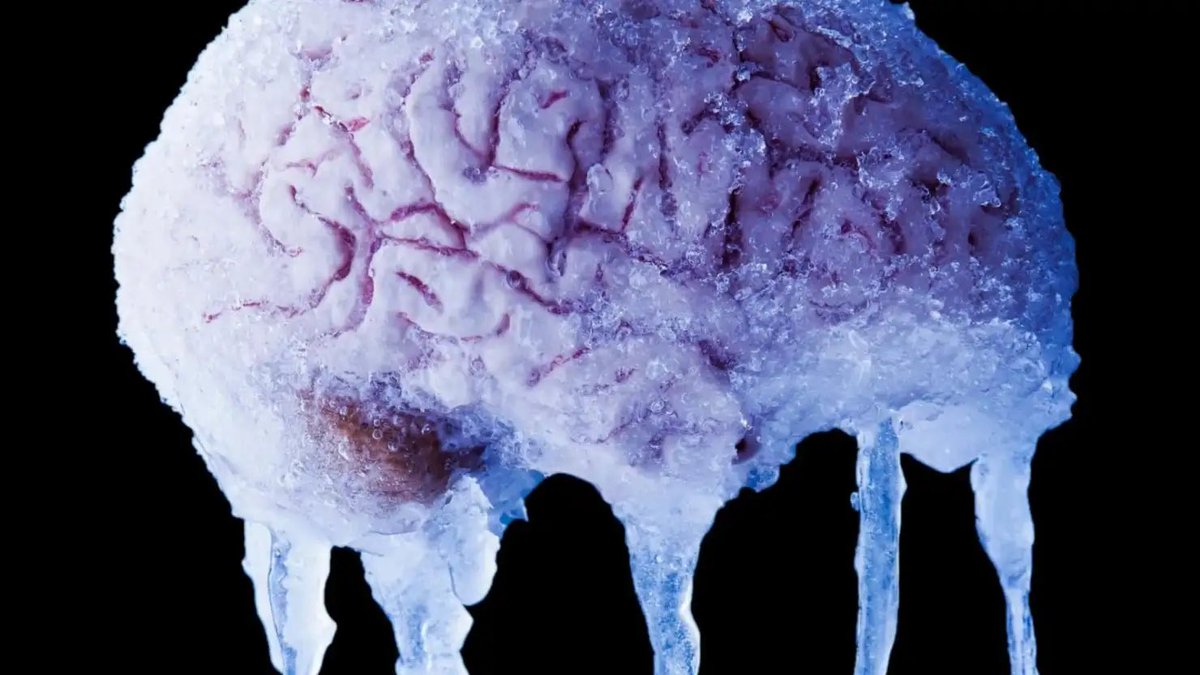 Kekius_Sage's tweet photo. Scientists froze a mouse’s memory-related brain tissue at -196°C for an entire week, thawed it, and the memories and learned functions returned perfectly. 

This shows that cryosleep and mind uploading are now real. https://t.co/Weyj9PPwwt