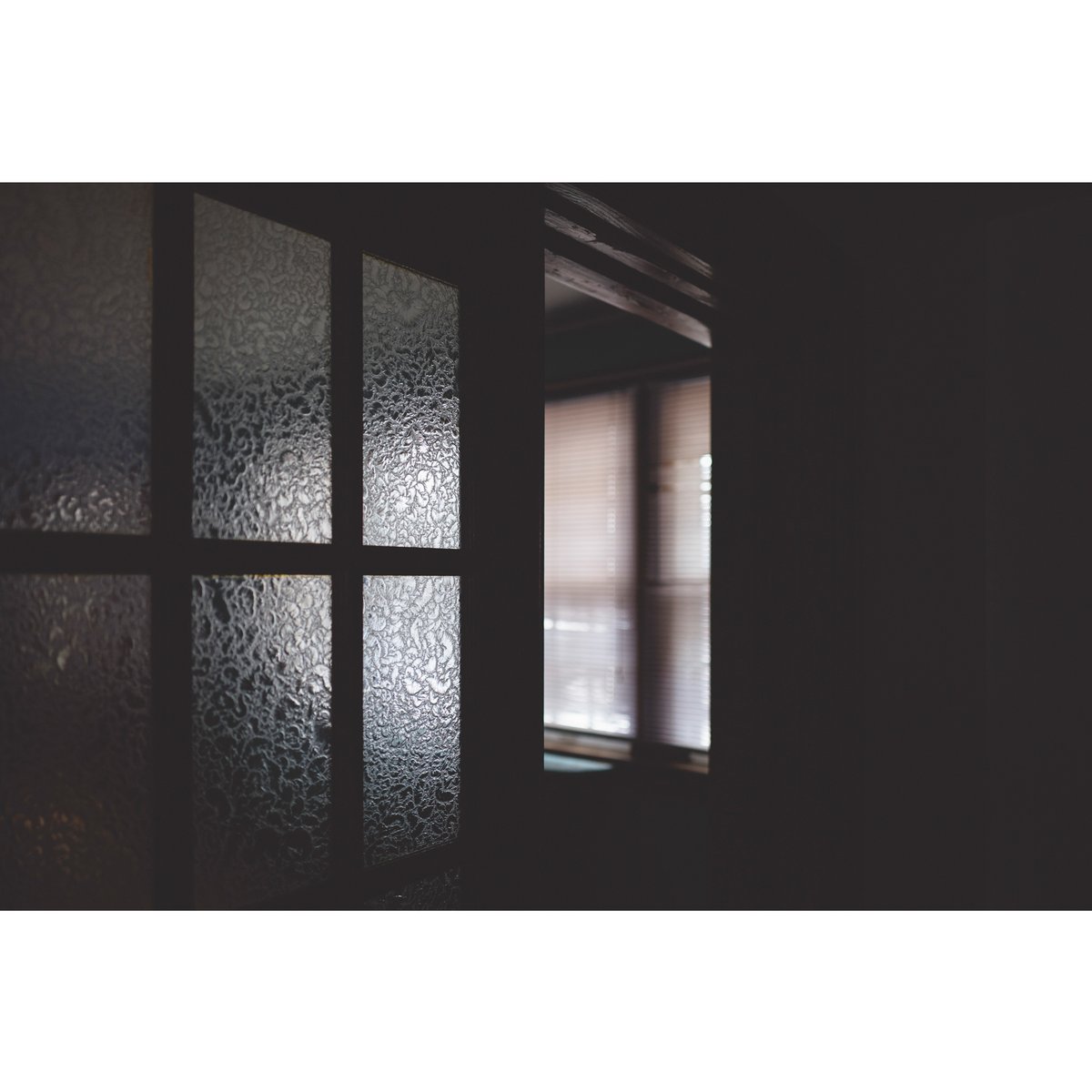 RealJonathanCastellino tweet media