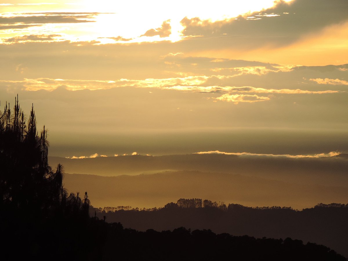 Samuel Andrés Agudelo 🎮 tweet media