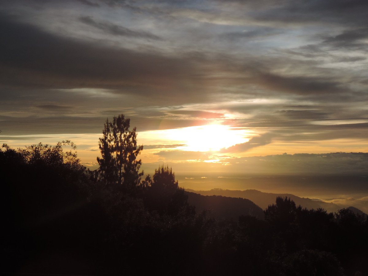 Samuel Andrés Agudelo 🎮 tweet media